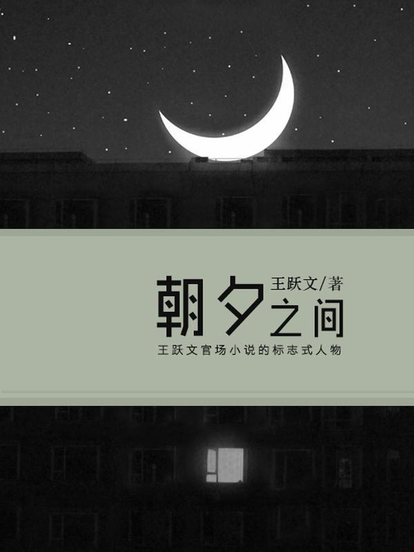 朝夕之间封面