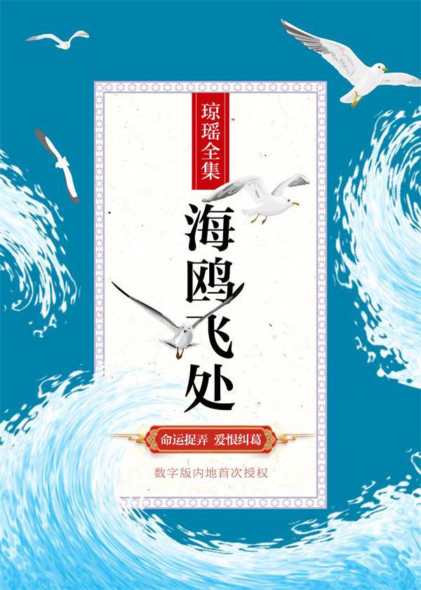 海鸥飞处封面