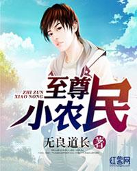 至尊小农民封面