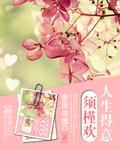 人生得意须槿欢封面