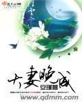大妻晚成封面