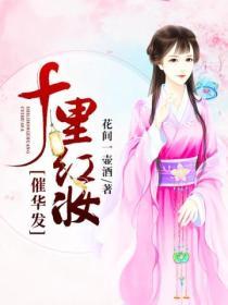 十里红妆催华发封面