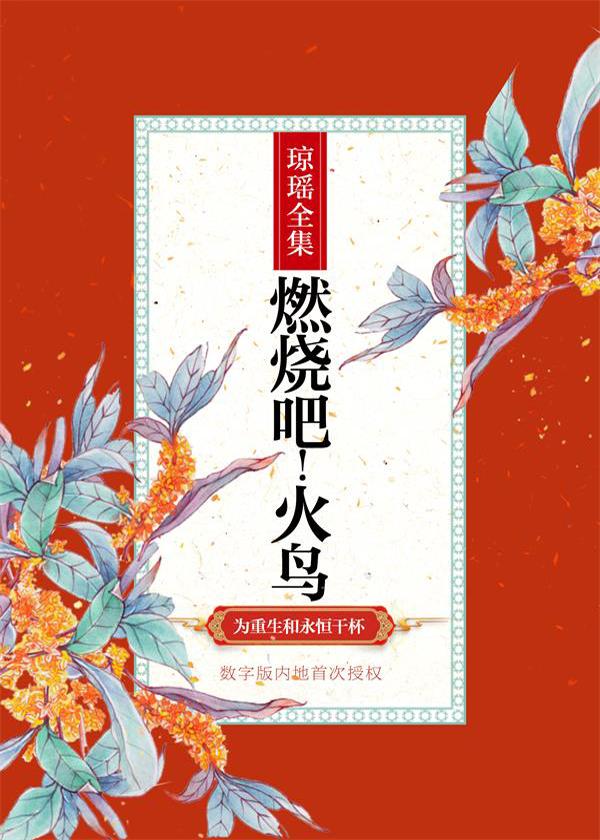 燃烧吧！火鸟封面