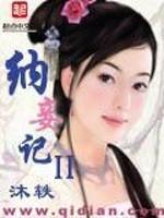 纳妾记ii封面