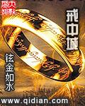 戒中城封面