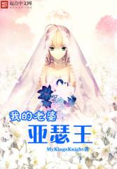 我的老婆亚瑟王封面