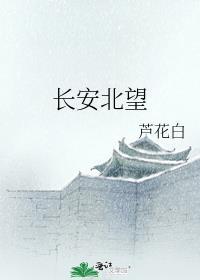 长安北望封面