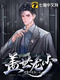 盖世龙少封面