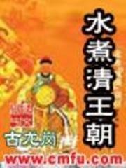 水煮清王朝封面