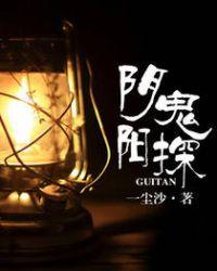 阴阳鬼探封面