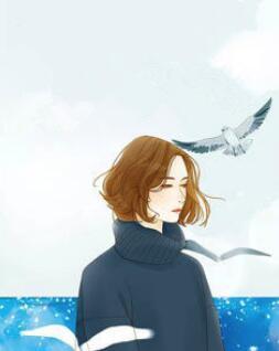 撩妻入怀:陆少很强势封面