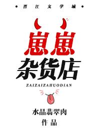 崽崽杂货店封面