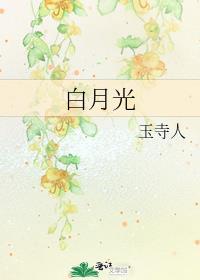 白月光封面