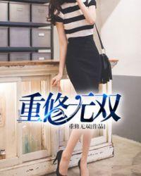 重修无双封面