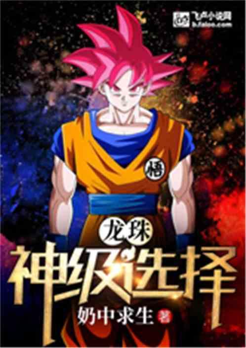 龙珠:神级选择封面