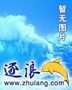 神之凝视封面
