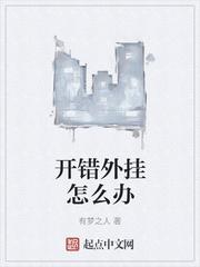 开错外挂怎么办封面