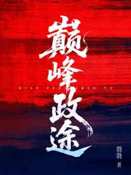 巅峰政途封面