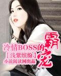冷情boss的霸宠封面