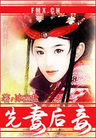 先妻后妾封面