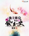 地主婆的发家史封面