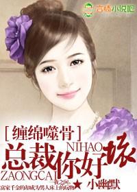 总裁别太坏封面