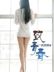 致青春封面