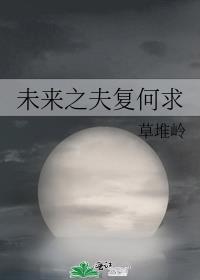 未来之夫父何封面