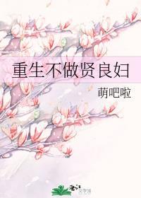 重生不做贤良妇封面
