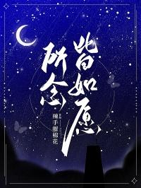 所念皆如愿封面