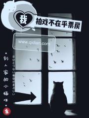 我拍戏不在乎票房封面