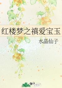 红楼梦之禛爱宝玉封面