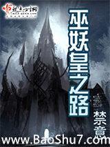 巫妖皇之路封面