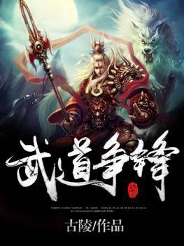 武道争锋封面