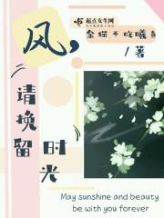 风，请挽留时光封面