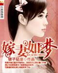 嫁妻如梦封面