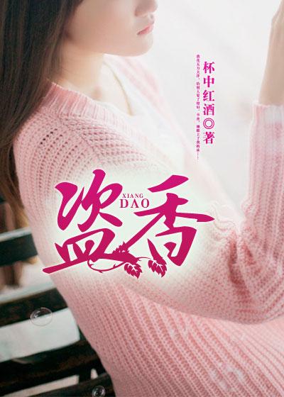 盗香封面