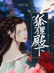 狐狸殿下封面
