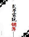 武学家玩网游封面
