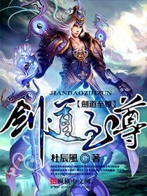 剑道至尊（全）封面