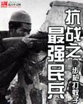 抗战之最强民兵封面