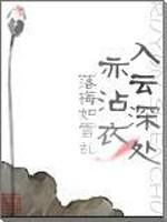 入云深处亦沾衣封面
