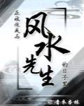 在被迫成为风水先生的日子里封面
