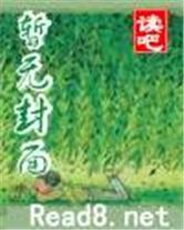 第七个读者封面