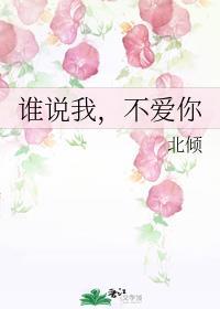 谁说我，不爱你封面