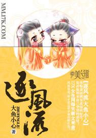 逐风流封面