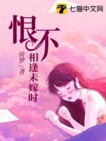 恨不相逢未嫁时封面