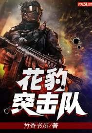 突击队万林小雅张娃封面