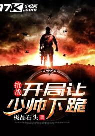 抗战之开局十万精兵封面
