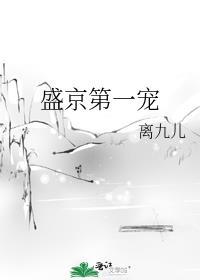 盛京第一宠封面